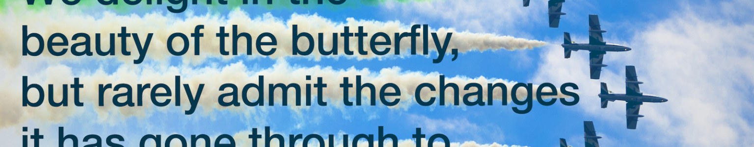 Featured Post Image - Maya Angelou on becoming a great pilot