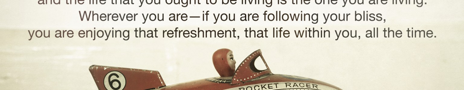 Featured Post Image - Follow your bliss. Fly the plane.