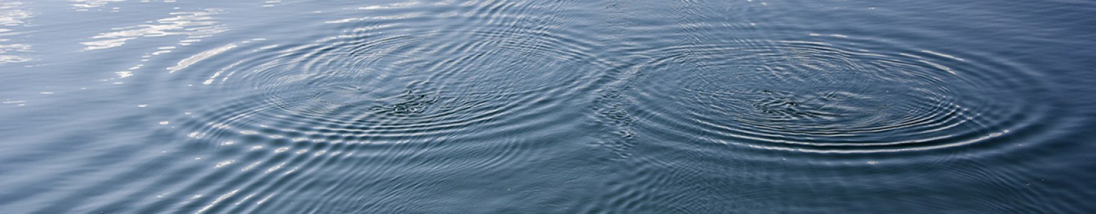 Featured Post Image - Effortlessness and yet such total presence